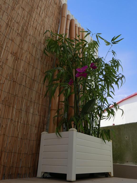 Casa Do Cabeta Villa Nazare Ngoại thất bức ảnh
